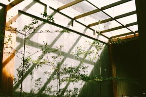 Read more about the article Wujudkan Rumah Impian Berkelanjutan di Surabaya & Sidoarjo